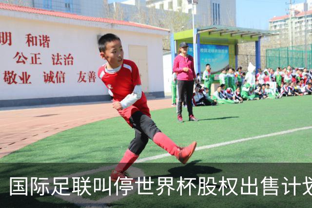 国际足联叫停世界杯股权出售计划