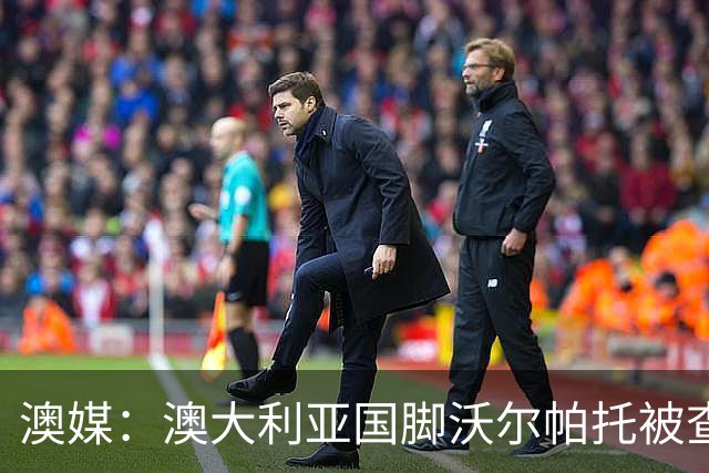 澳媒：澳大利亚国脚沃尔帕托被查出毒驾，禁赛期在3个月至4年间