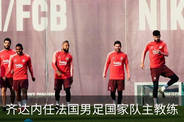 齐达内任法国男足国家队主教练